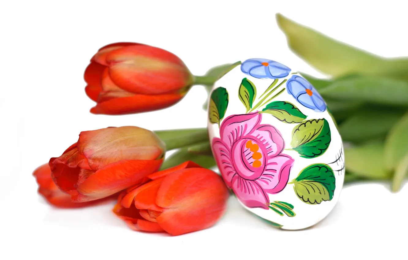 Фото обои цветы, тюльпан, яйцо, Пасха, воскресение, писанка