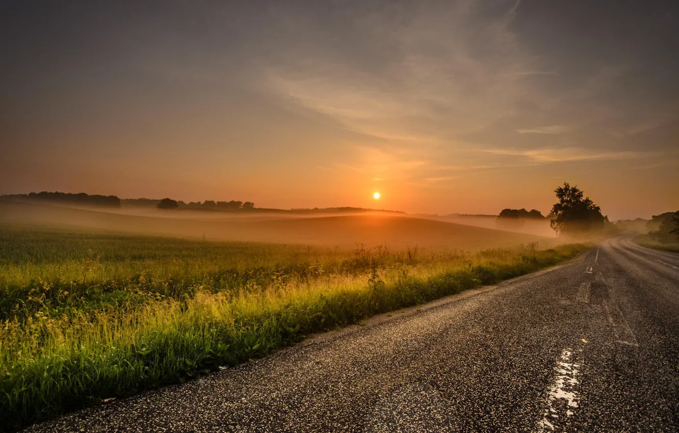 Фото обои дорога, солнце, пейзаж, природа, туман, рассвет, утро