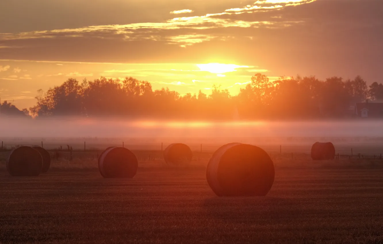 Фото обои туман, восход, забор, поля, сено, фермы