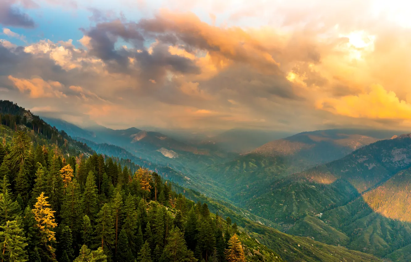 Фото обои лес, облака, горы, Калифорния, панорама, США, Kings Canyon National Park