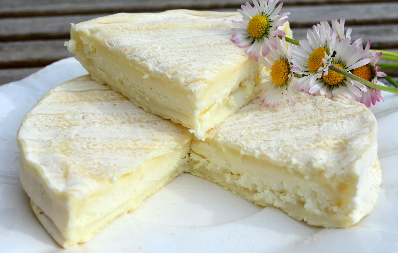 Фото обои цветы, сыр, пирог