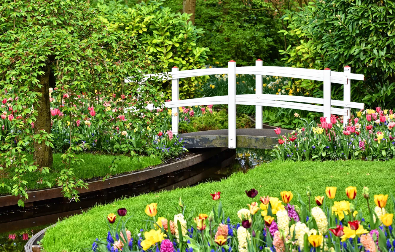 Фото обои цветы, парк, ручей, сад, мостик