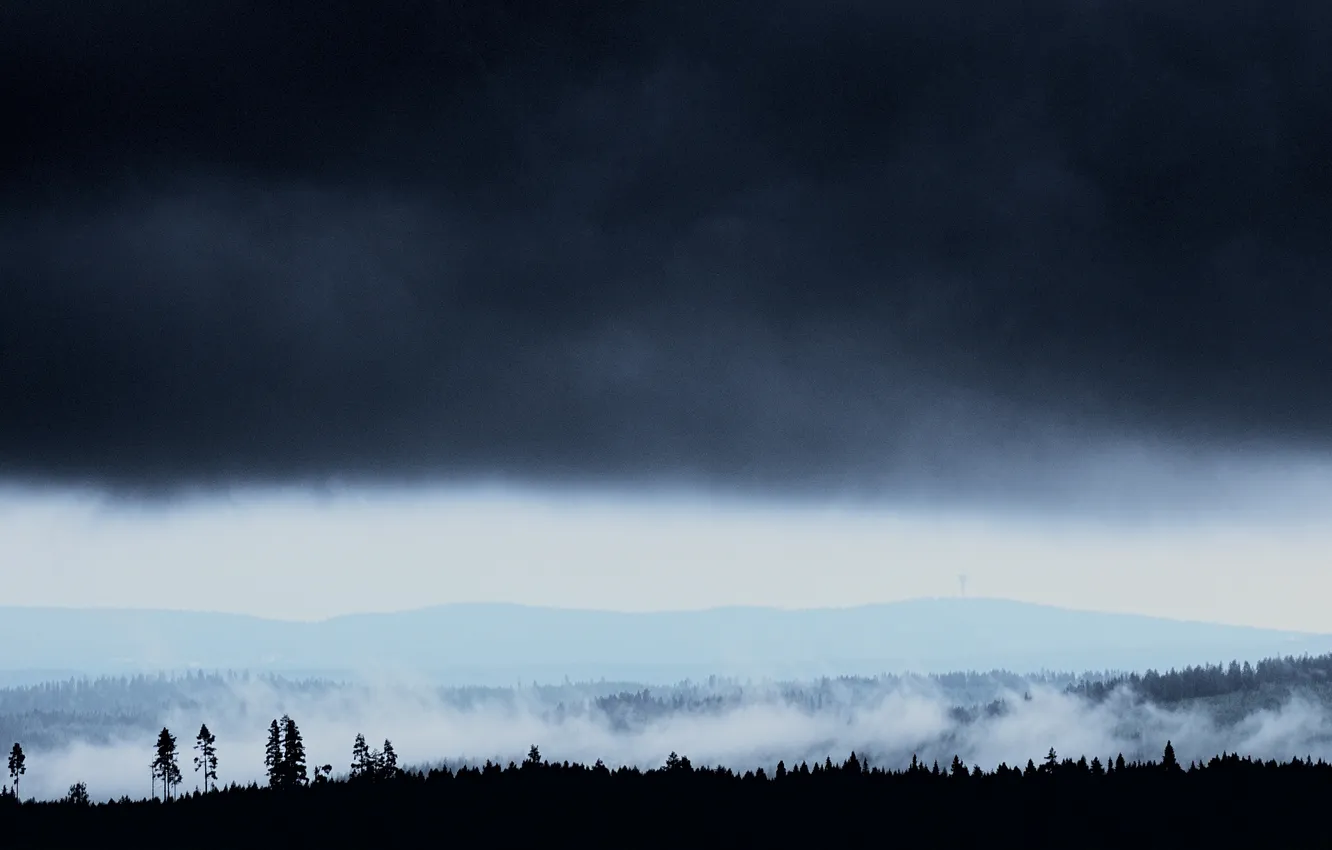 Фото обои туман, холмы, туча