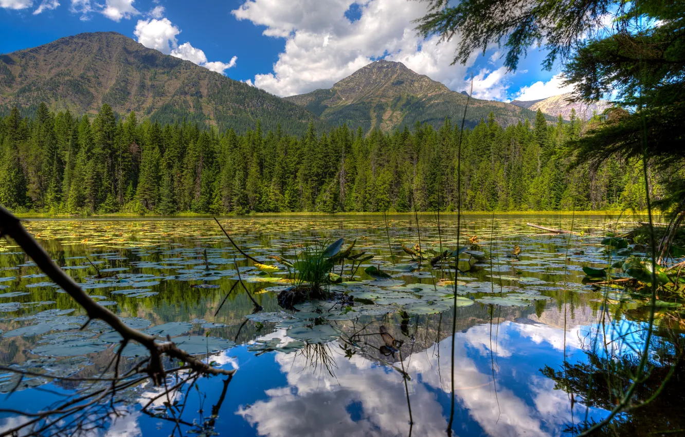 Фото обои лес, небо, облака, деревья, горы, озеро, сша, glacier national park