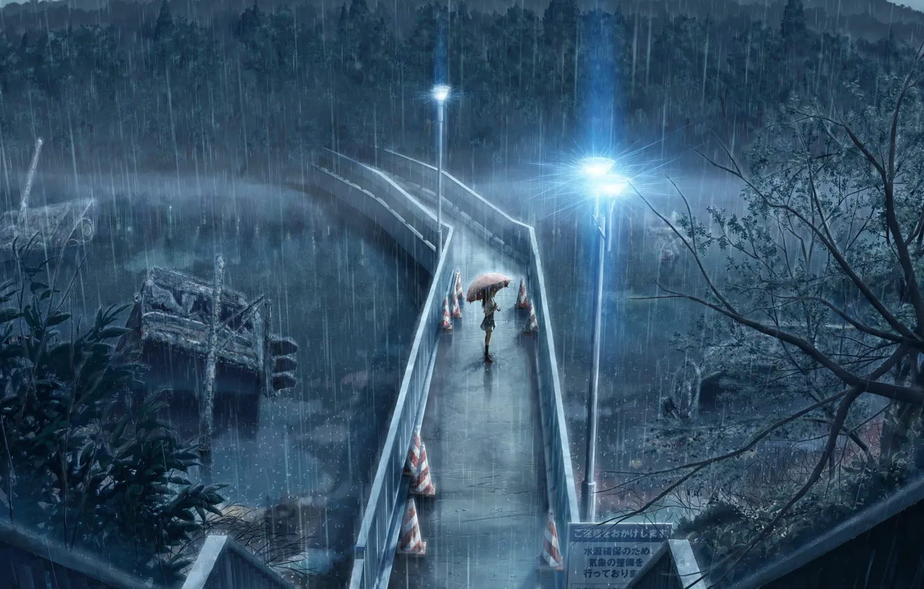 Фото обои девушка, мост, зонтик, дождь, фонари, ожидание, Rainy day, проливной