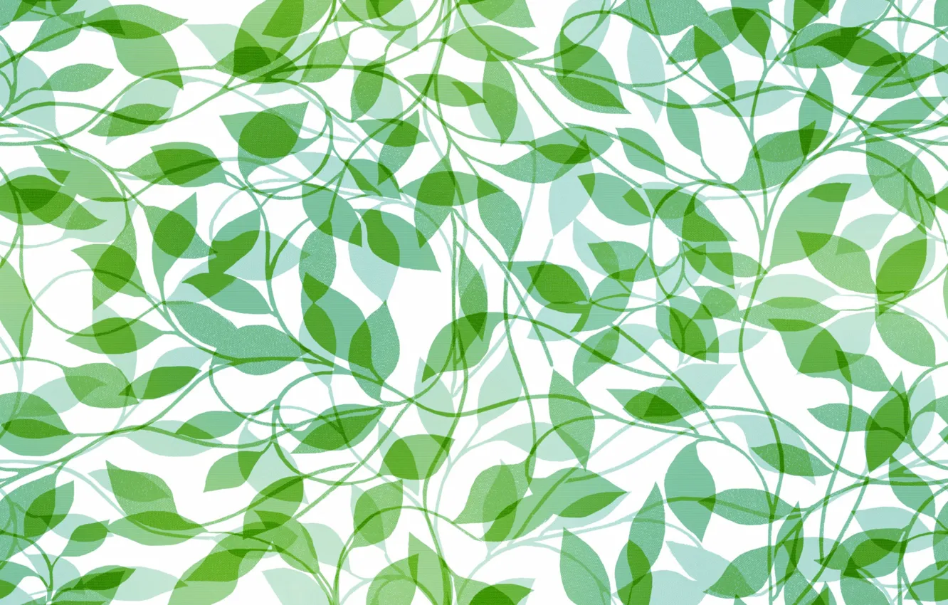 Фото обои белый, листья, фон, текстура, зеленые