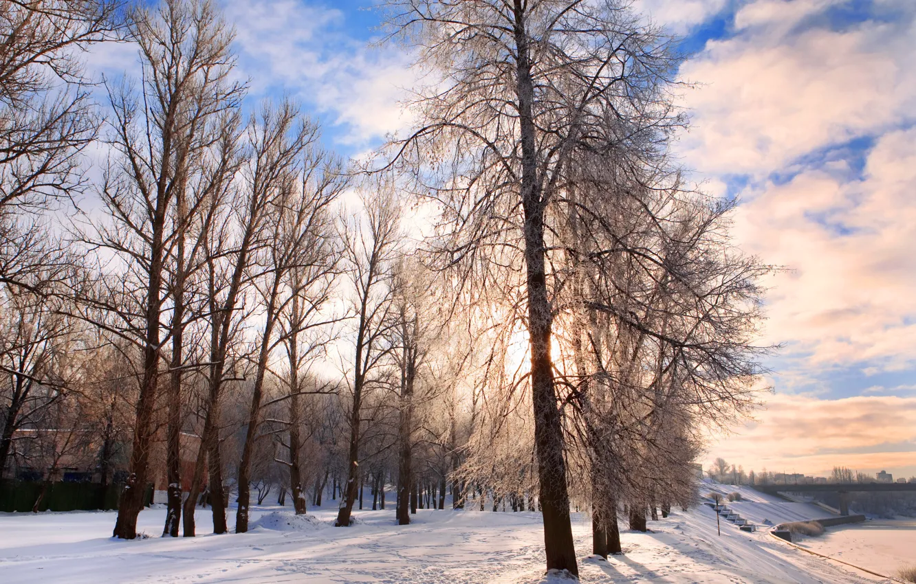 Фото обои зима, снег, деревья, природа, парк