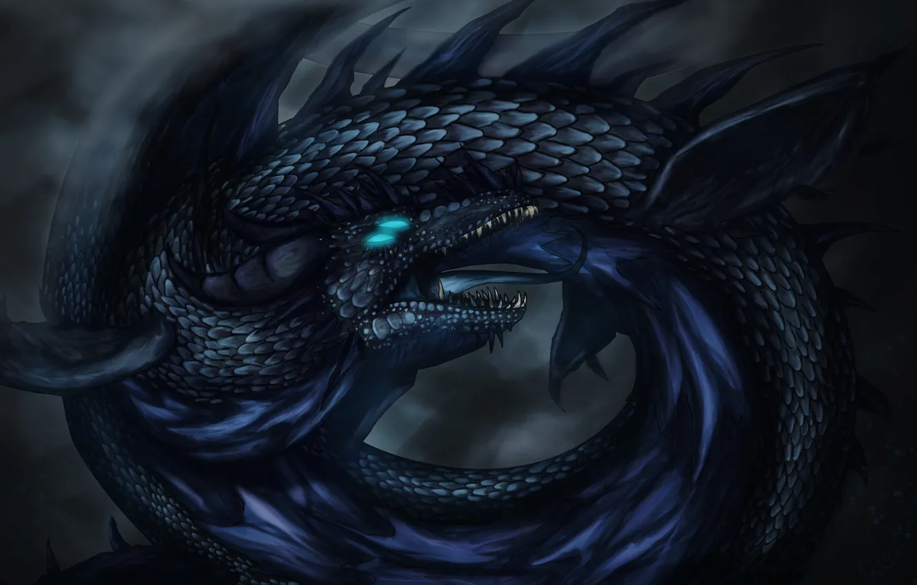 Фото обои черный, дракон, кольца, арт, пасть, хвост
