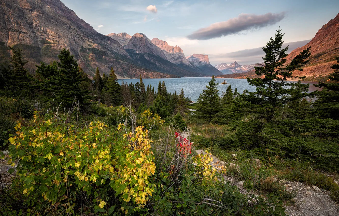 Фото обои лес, горы, природа, озеро, Glacier National Park, Montana