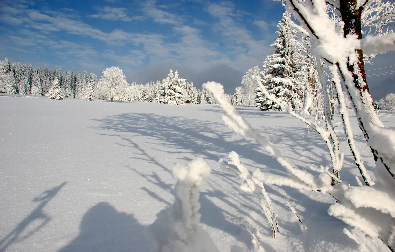 Фото обои зима, лес, снег, горы, Шумава, national park Šumava