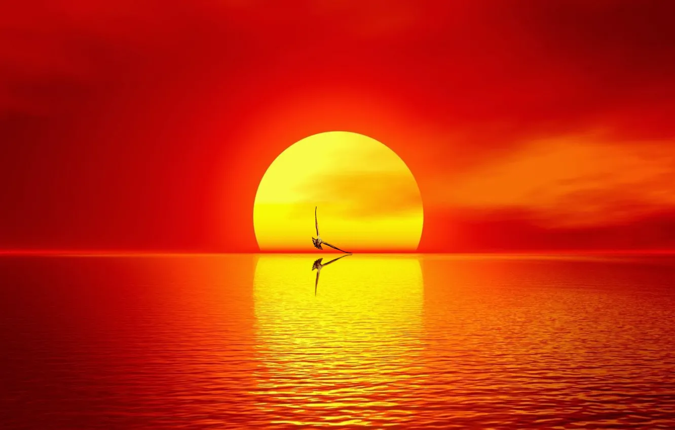 Фото обои sea, sun, seaside, rising sun