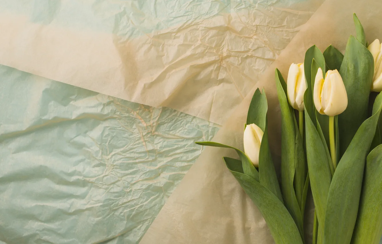 Фото обои цветы, букет, тюльпаны, flower, жёлтые, tulips, paper