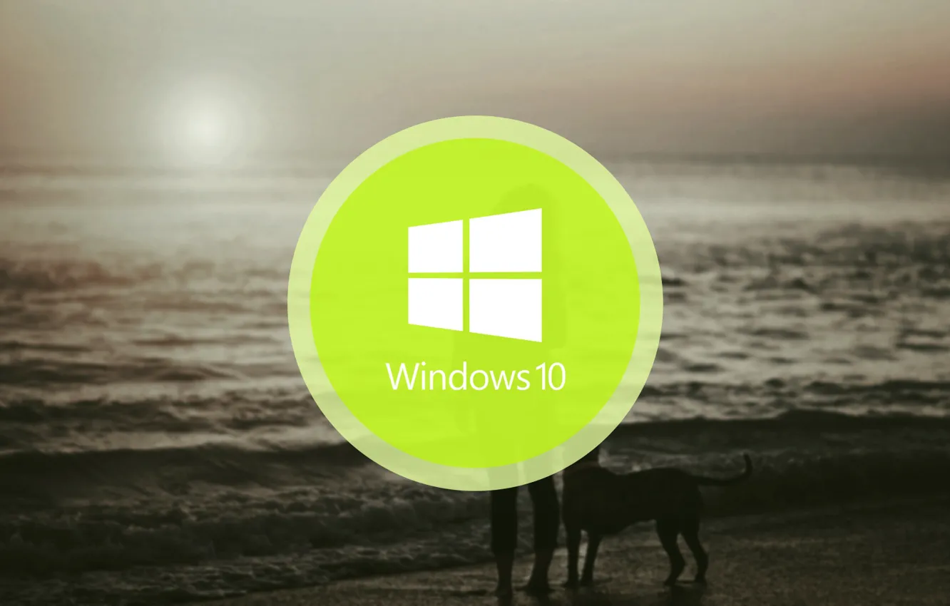 Фото обои windows, logo, windows 10