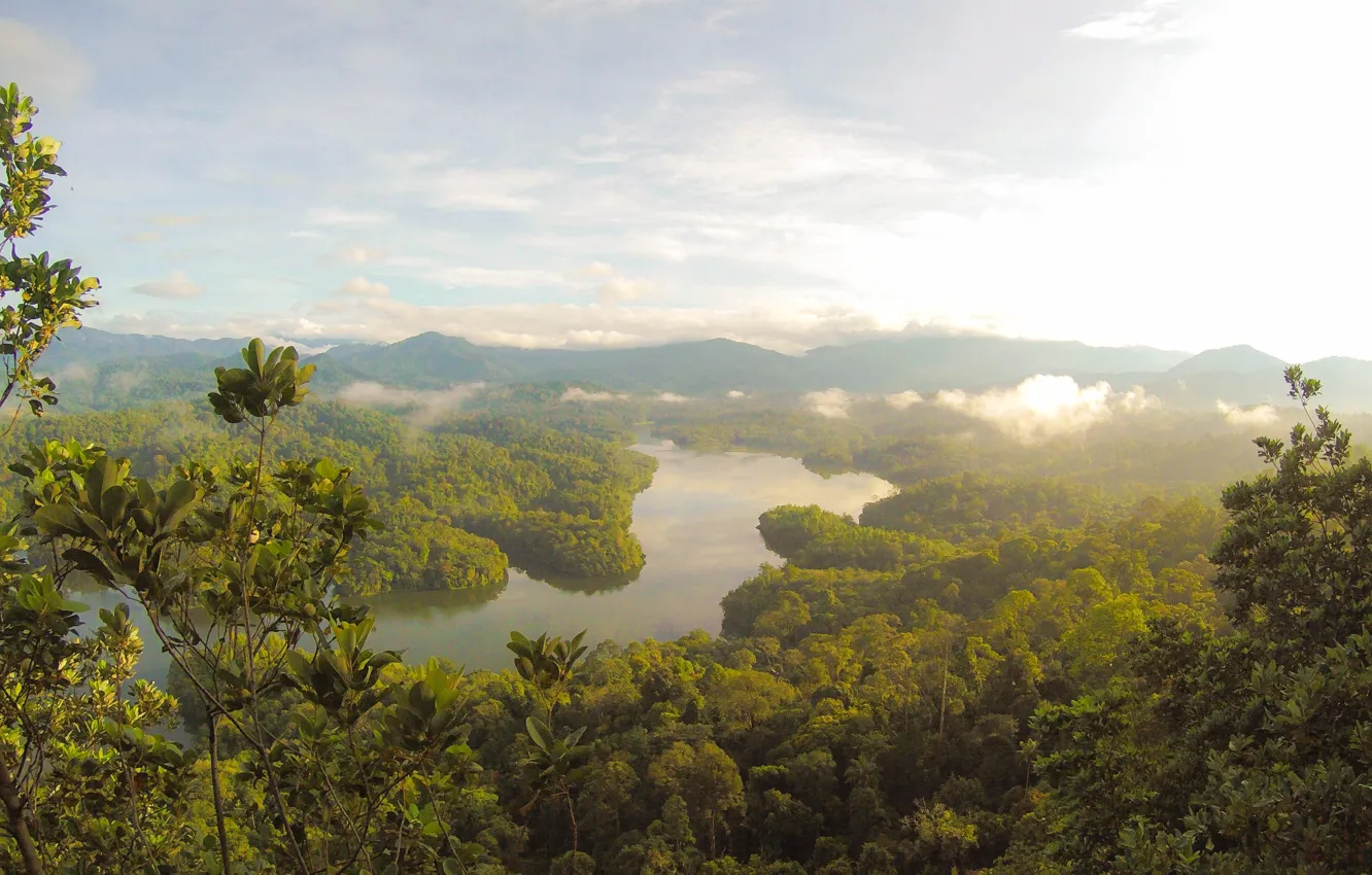 Фото обои river, sky, trees, nature, clouds, Asia, Malaysia, マレーシア