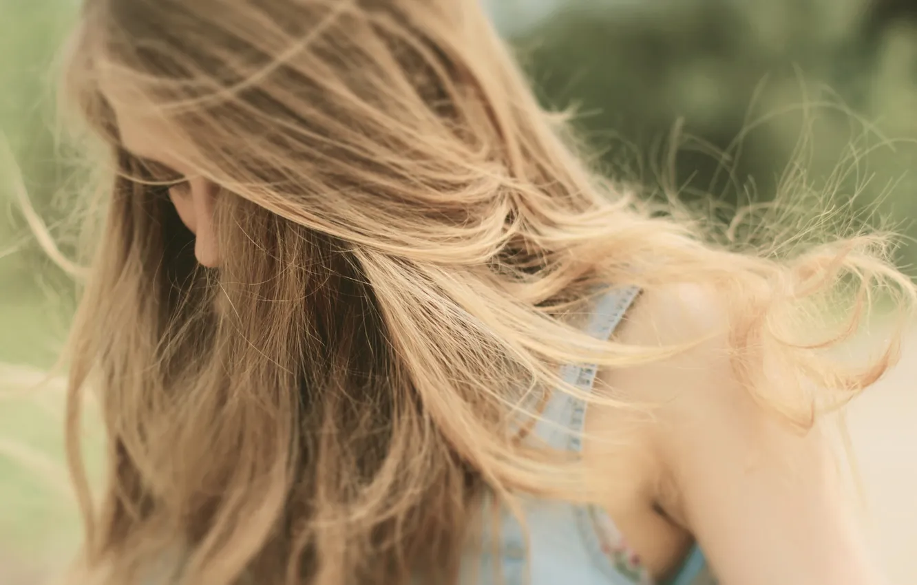 Фото обои девушка, ветер, волосы