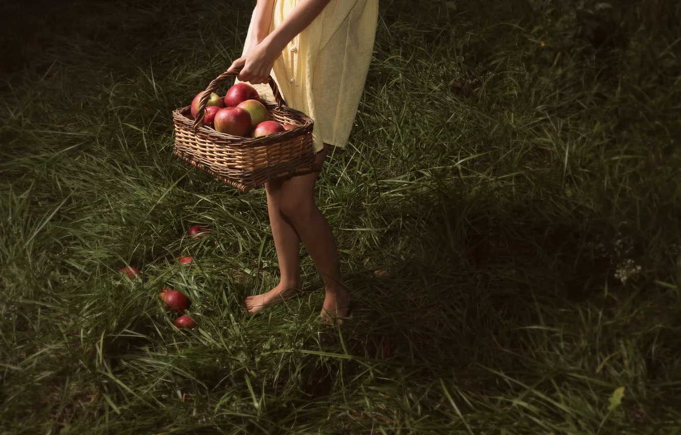 Фото обои яблоки, девочка, корзинка