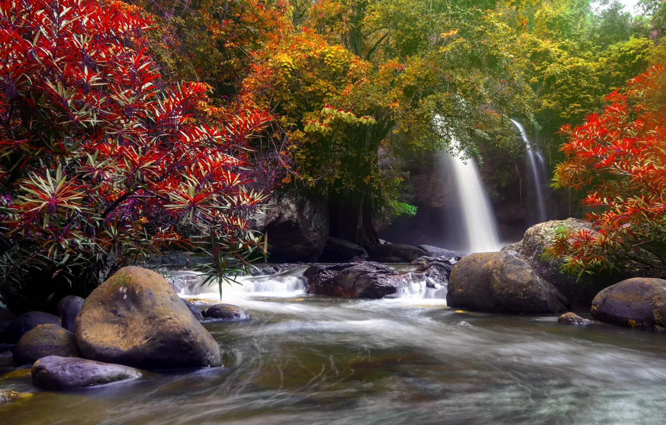 Фото обои осень, лес, вода, деревья, природа, река, водопад, forest, каскад, river, nature, beautiful, autumn, waterfall
