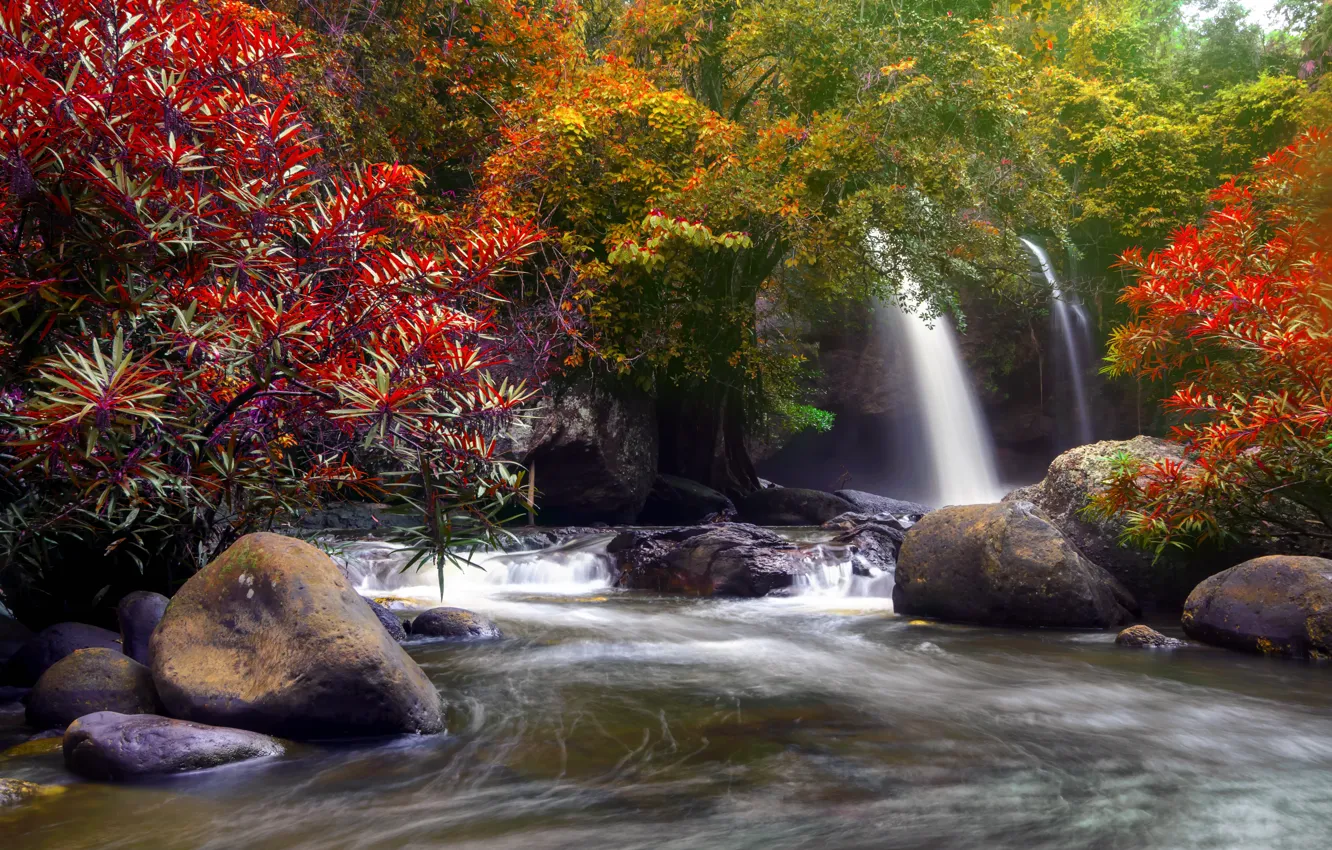 Фото обои осень, лес, вода, деревья, природа, река, водопад, forest