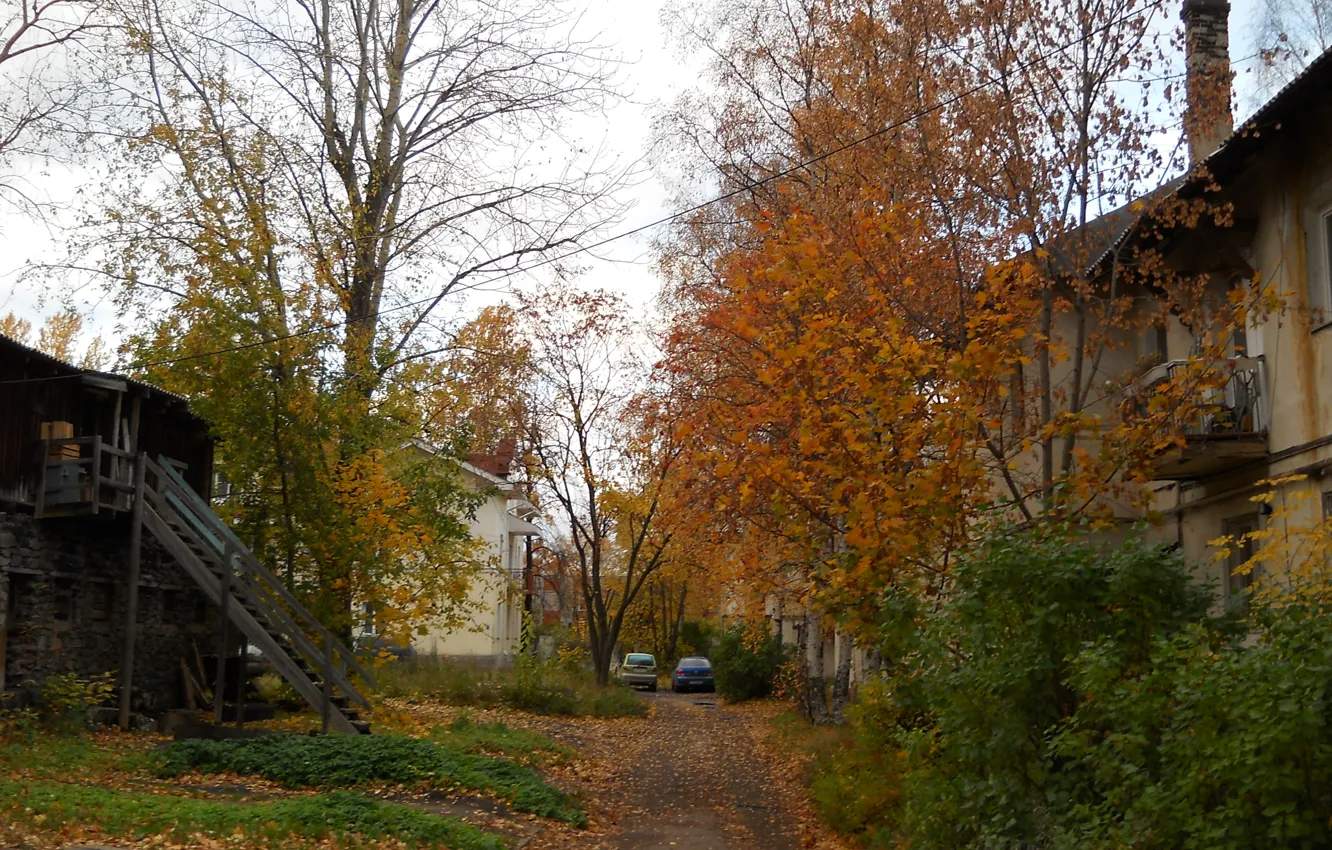 Фото обои осень, листопад, дворик, Петрозаводск