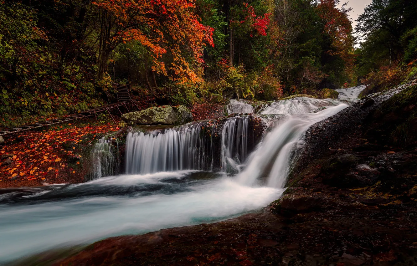 Фото обои осень, лес, листья, камни, водопад, листопад