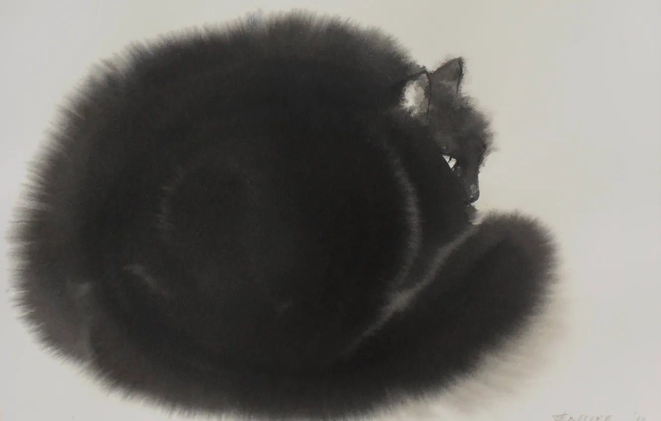 Фото обои серый фон, живопись, Endre Penovac, черный котяра, акварель по-мокрому, черно-белый рисунок, пушистая шерстка