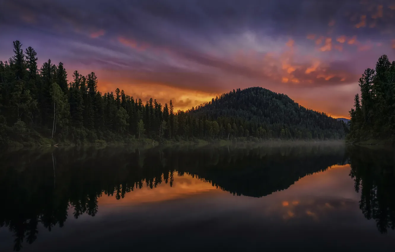 Фото обои лес, пейзаж, закат, природа, восход, Alexander Nikitin