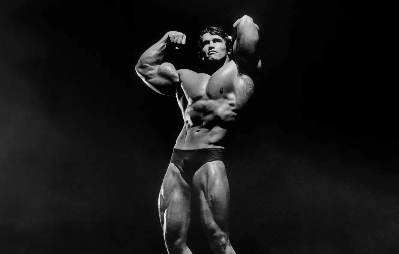 Фото обои Arnold, Schwarzenegger, Bodybuilder
