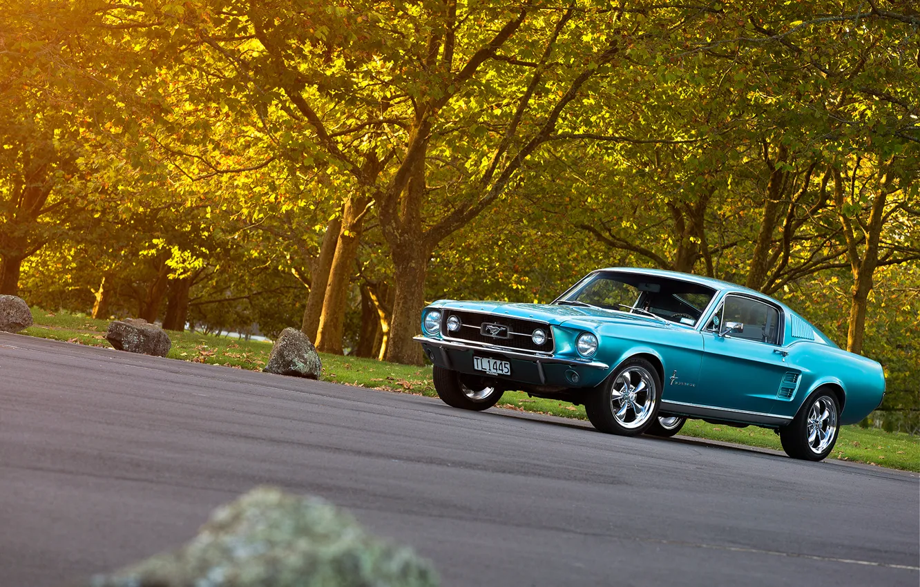 Фото обои дорога, лес, Mustang, Ford, 1967, Fastback, боком