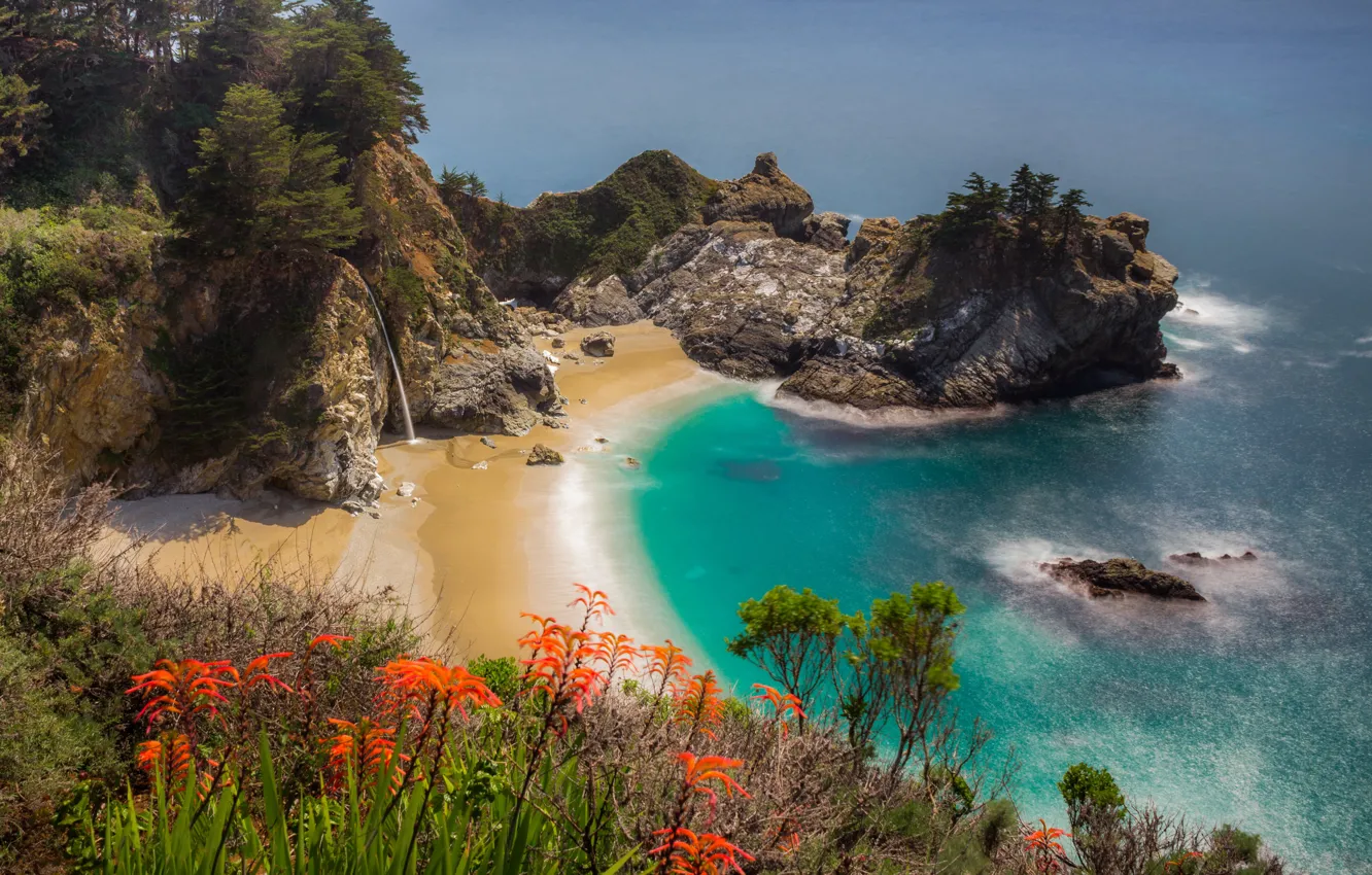 Фото обои песок, море, пляж, лето, деревья, цветы, оранжевый, ветки