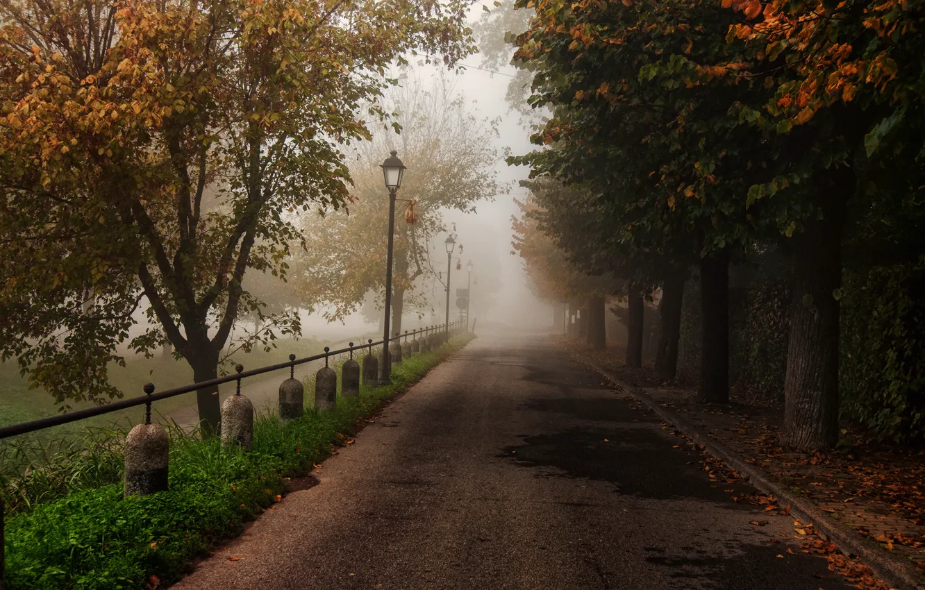 Фото обои дорога, осень, деревья, природа, парк, листва, ограда, Sergio Locatelli рhotography