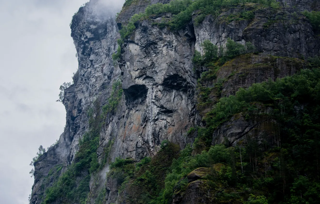 Фото обои небо, деревья, природа, туман, скала, пасмурно, силуэт, Норвегия