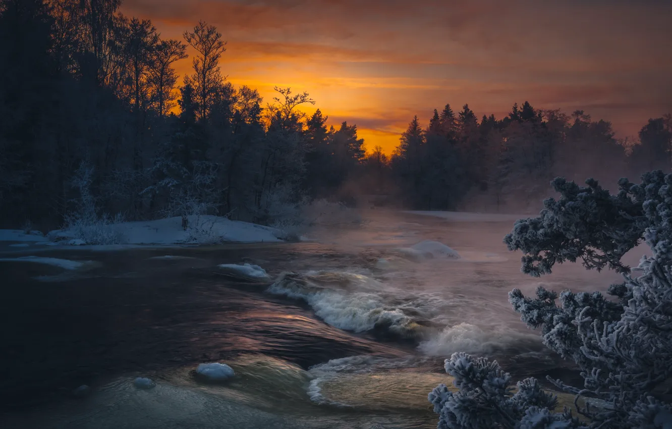 Фото обои зима, иней, лес, снег, закат, ветки, туман, река