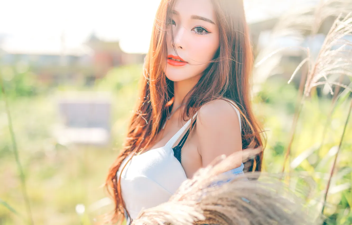Фото обои girl, asian, sexy