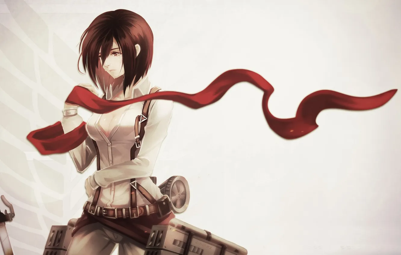Фото обои девушка, шарф, Attack on Titan, Mikasa