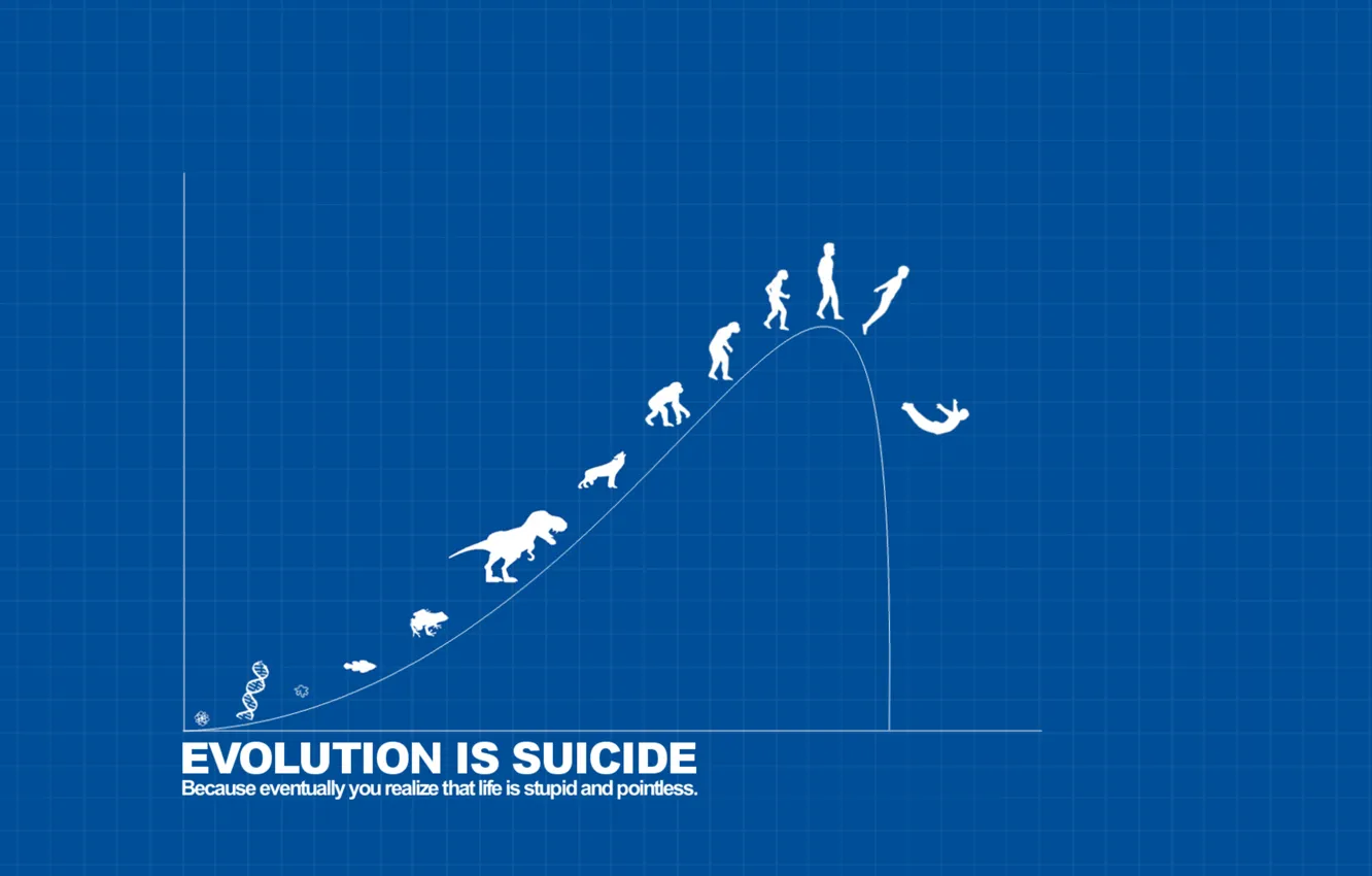 Фото обои надписи, надпись, эволюция самоубийства, evolution is suicide