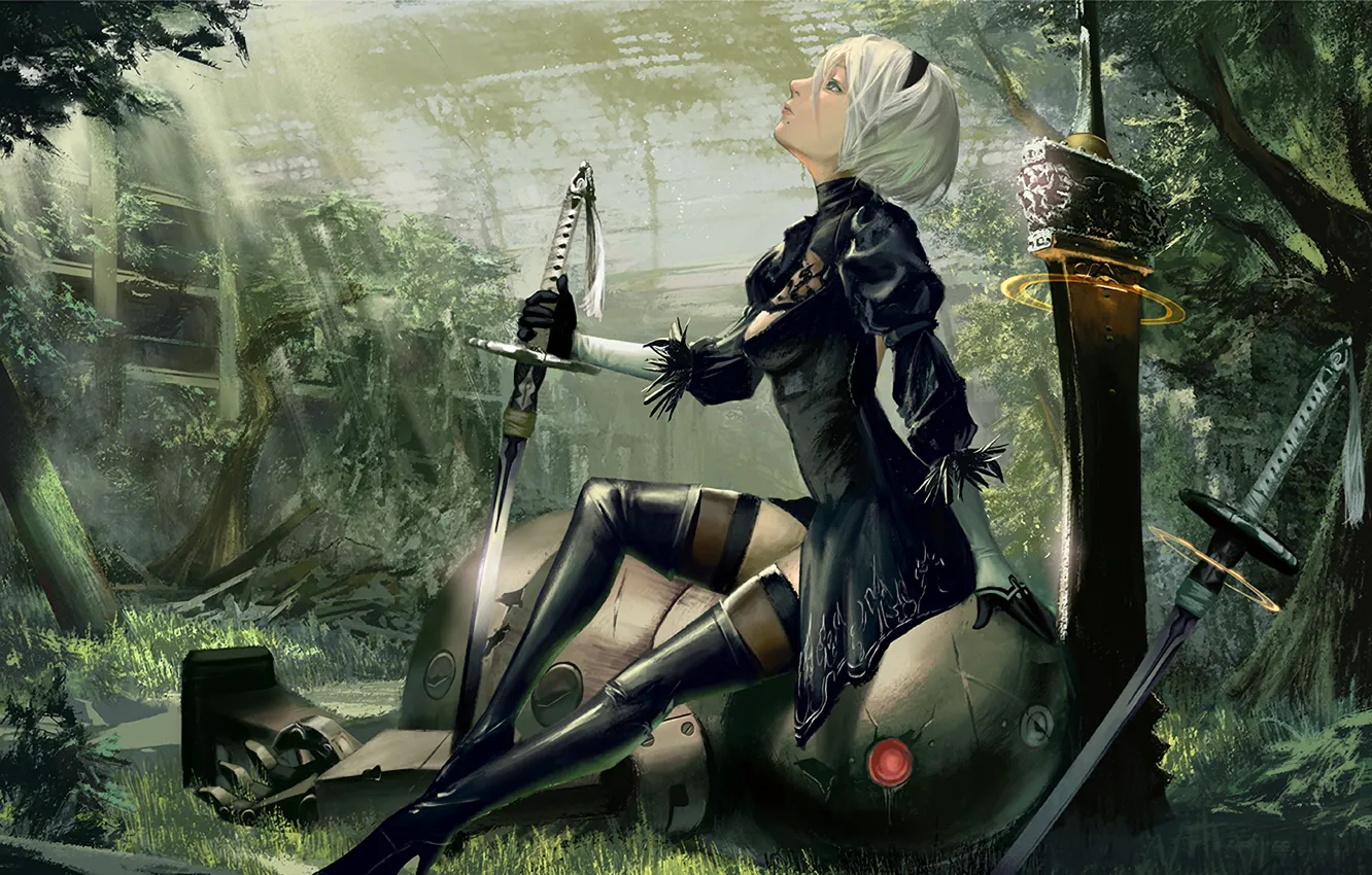 Фото обои девушка, робот, меч, киборг, Nier Automata, YoRHa No.2 Type B