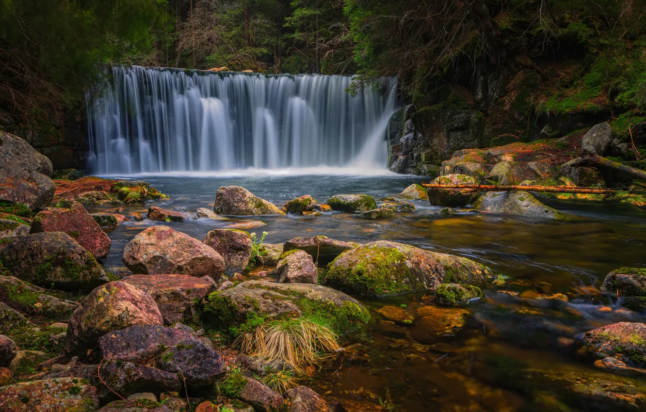 Фото обои лес, река, камни, водопад, каскад, Андрей Ожерельев