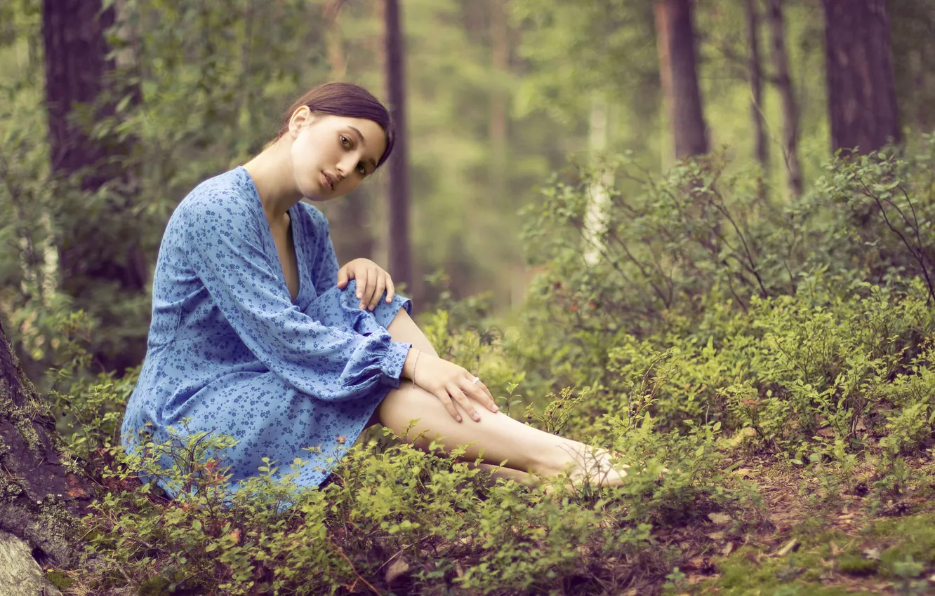 Фото обои лес, природа, Диана, Александр Замятин