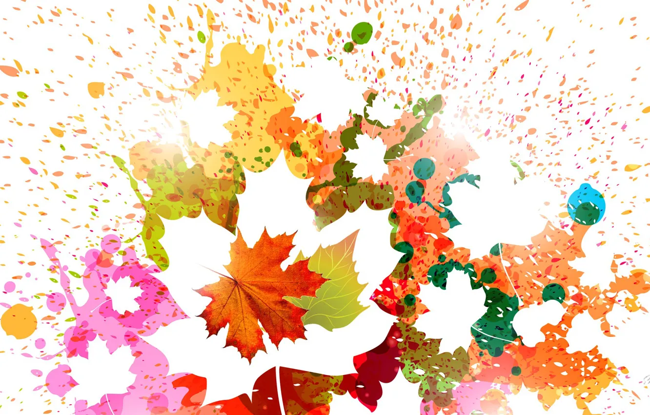 Фото обои осень, листья, брызги, фон, краски, силуэт