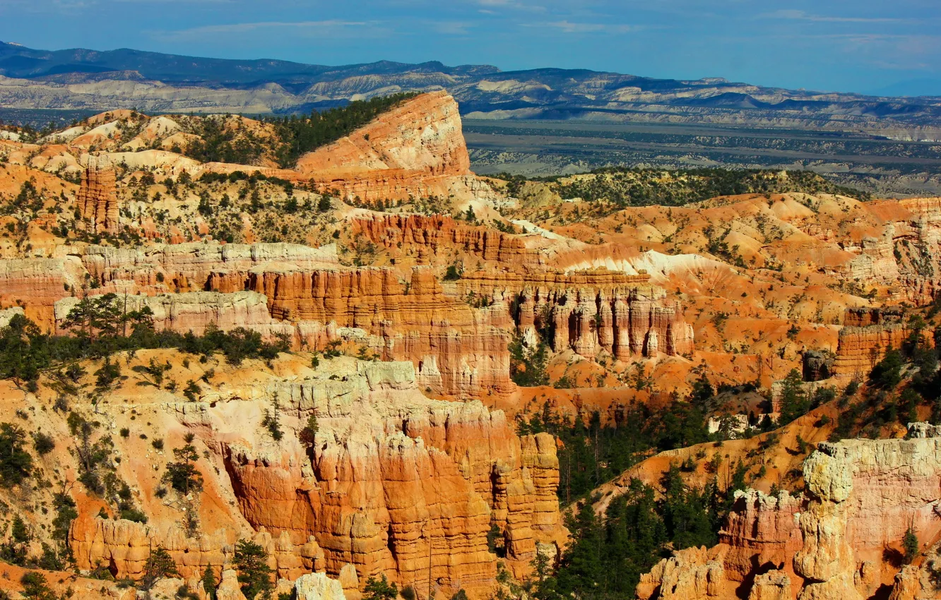 Фото обои лес, горы, заповедник, Bryce Canyon National Park