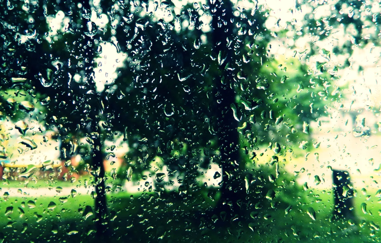 Фото обои лето, дождь, Капли, стекло.настроение