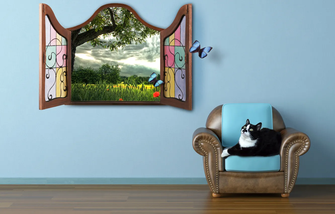Фото обои кошка, лето, бабочки, сказка, окно, наблюдать