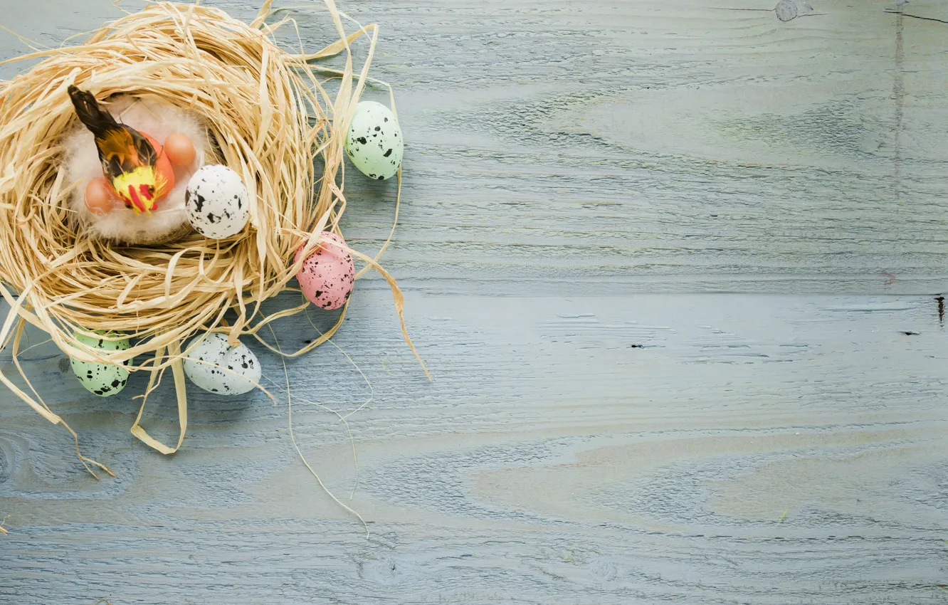 Фото обои яйца, Птица, пасха, солома, Праздник, Гнездо, православный праздник