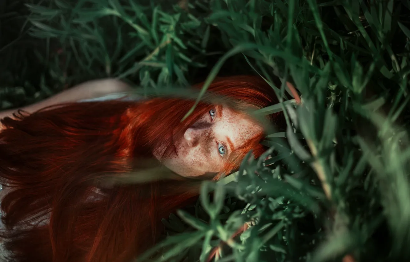 Фото обои трава, девушка, лицо, настроение, веснушки, рыжая, рыжеволосая, длинные волосы