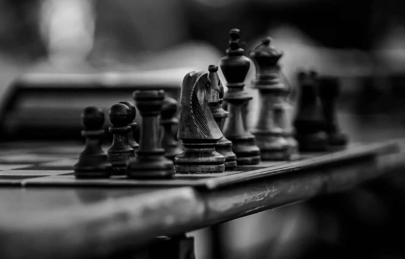 Фото обои стол, конь, размытие, шахматы, черно-белое фото, королева, шахматная доска, боке