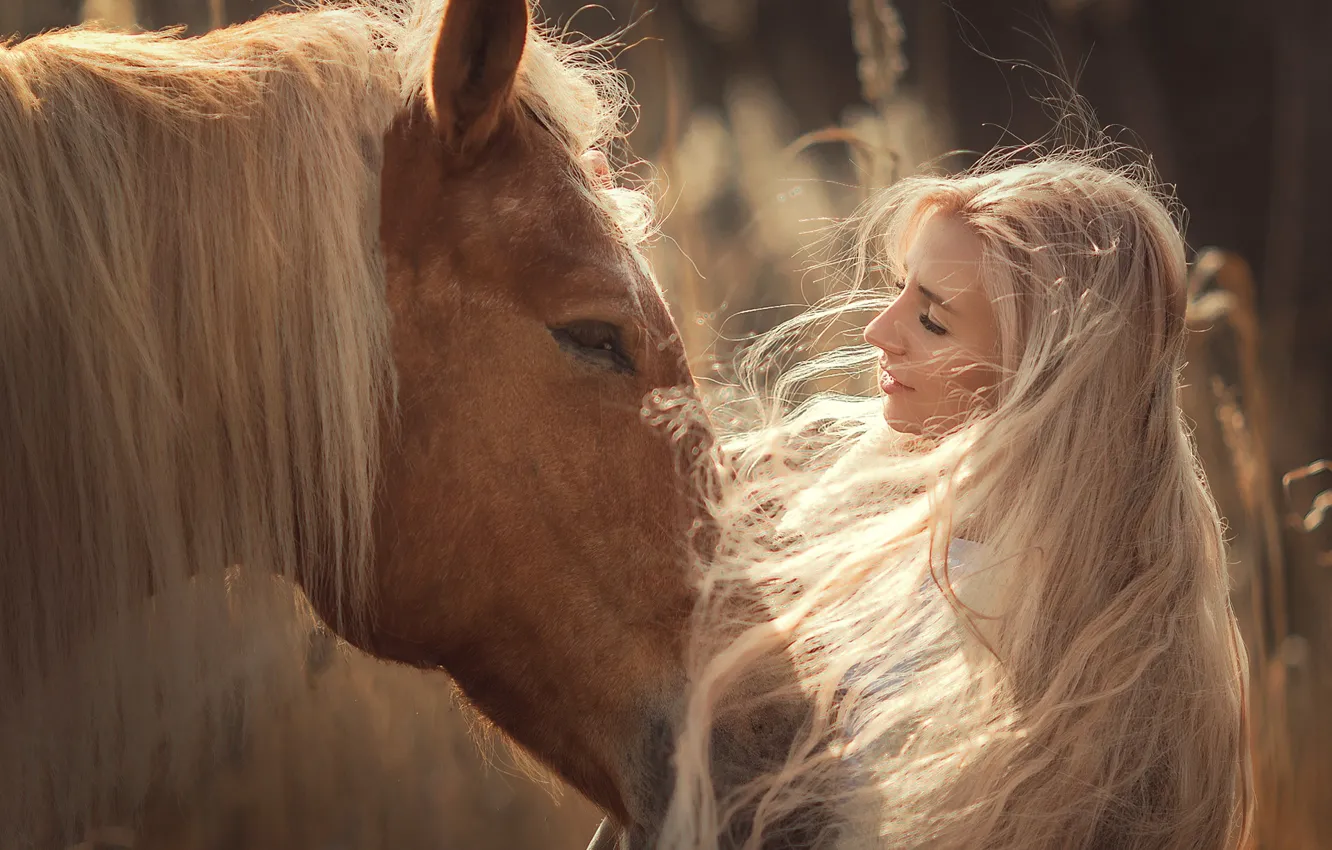 Фото обои морда, девушка, лицо, настроение, конь, лошадь, грива, длинные волосы