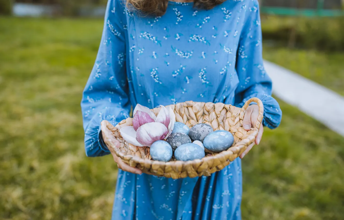 Фото обои девушка, корзина, яйца, руки, платье