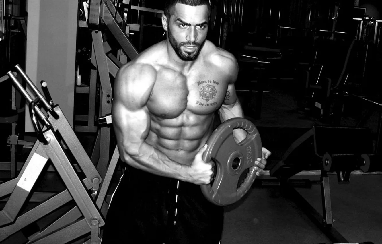 Фото обои блин, muscle, мышцы, tattoo, men, workout, fitness, gym