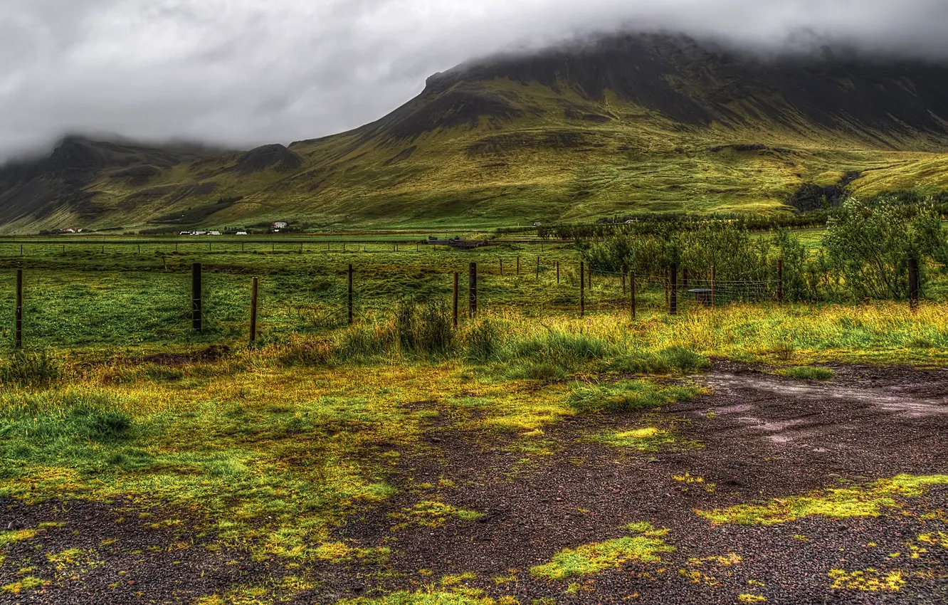 Фото обои зелень, трава, облака, горы, туман, поля, HDR, Исландия