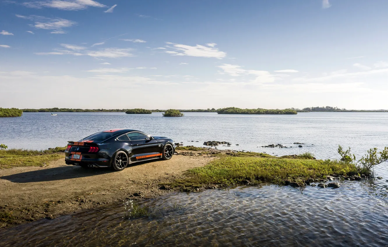 Фото обои озеро, Mustang, Ford, Shelby, GT-S, 2019